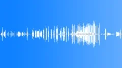 Winter, Village, Birds, Cats, Dogs - ambience, denoised 01Sound Effect