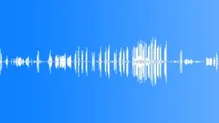 Winter, Village, Birds, Cats, Dogs - ambience, denoised 02Sound Effect