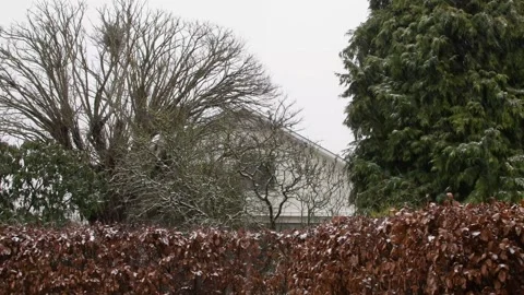 Winter village landscape with falling snow Stock Footage 148113333