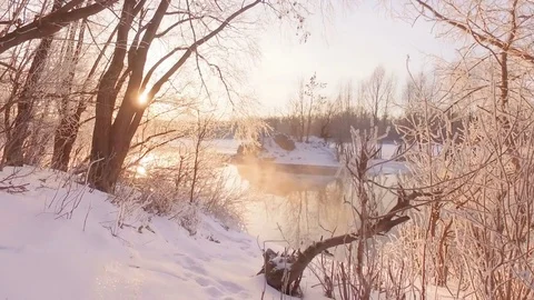 Winter walk along the forest path among the trees on the shore of the river Stock Footage 84275372
