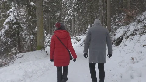 Winter walk of the couple in the winter time  through the snowy trees Stock Footage 86087750
