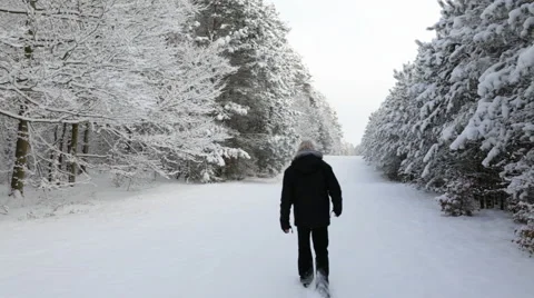 Winter walk Stock Footage 45482065