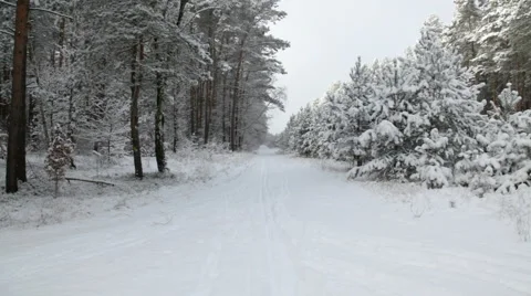 Winter walk Stock Footage 45482579