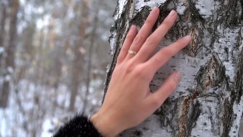 A winter walk. 動画素材 84971080