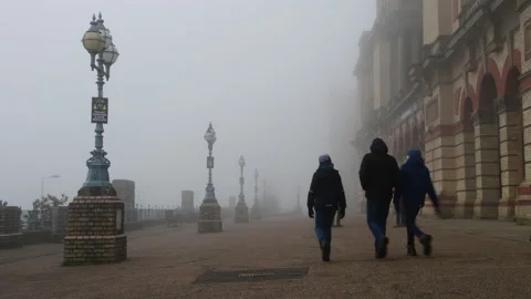 Winter walk. Stock Footage 145791243