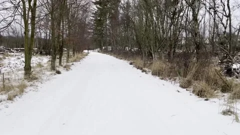 Winter Walk Stock Footage 262954345