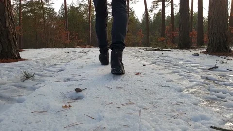 Winter walk in a forest. Vídeos de archivo 132557552