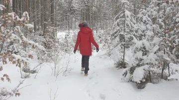 Winter walk girl in the red jacket through the snowy trees camera footage Stock Footage 86088045