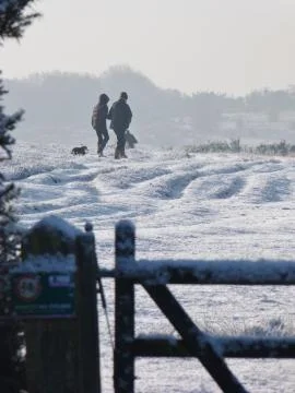 A Winter Walk 写真素材