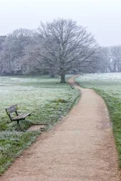 Winter walk Stock-Fotos