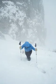 Winter walk Stock Photos