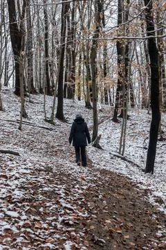 Winter Walk Stock Photos