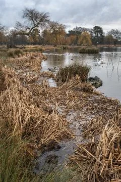 Winter walk Foto stock