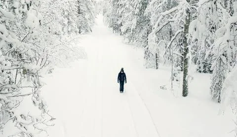 Winter walk Foto stock