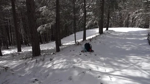 Winter Walk Sicily Through Pine Forest Snow Covered Path Etna Park Panning Stock Footage 151054952