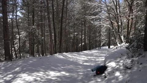 Winter Walk Sicily Through Pine Forest Snow Covered Path Etna Park Panning Stock Footage 151055165