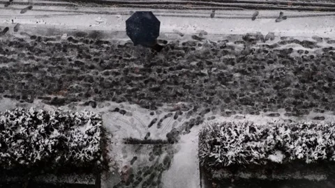 Winter Walk: A Snowy Path Viewed from Above Video stock 293093112