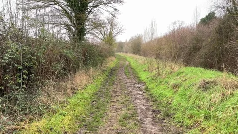 Winter walk through paths at Castor Hanglands, Nene Park, Peterborough, UK Stock Footage 328049832