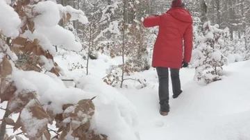 Winter walk through the snowy trees in the forest girl in the red jacket Stock Footage 86087599