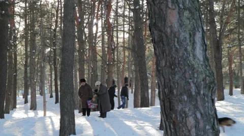Winter walk in the woods Stock Footage 34723250