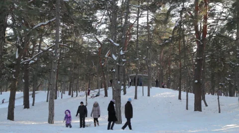 Winter walk in the woods Stock Footage 34725310