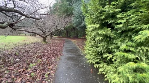Winter walking along leafy path. Stock Footage 243808449