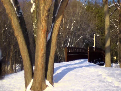 Winter Walking Bridge Vidéo 25233502