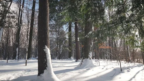 Winter Walking Stockbeeldmateriaal 86887367