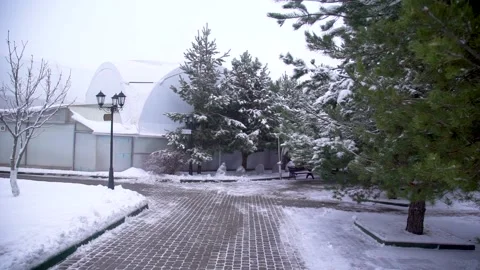 Winter walking path Stock Footage 147444378