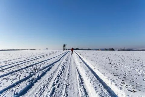 Winter walking Stock Photos