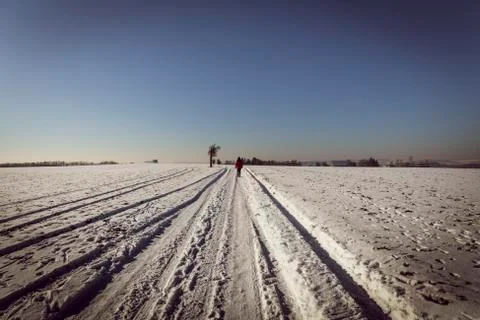 Winter walking Stock Photos