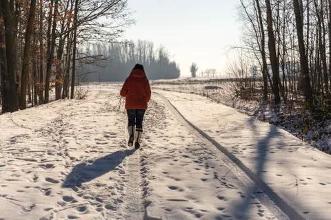 Winter walking Stock Photos