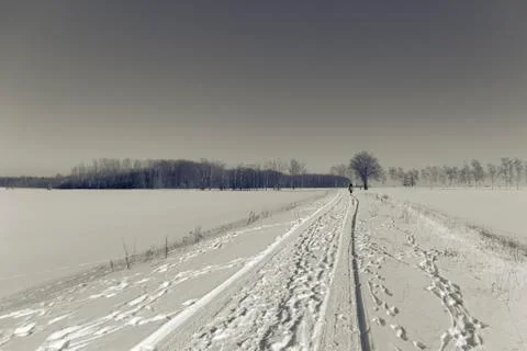 Winter walking Stock Photos