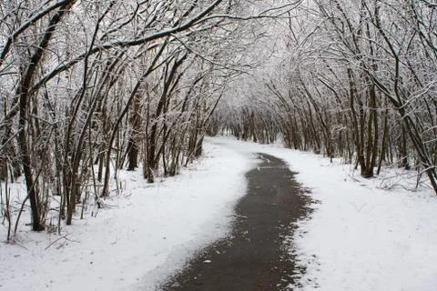 Winter walking trail. Stock Photos