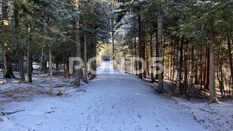 Winter Walking Trail Scenery