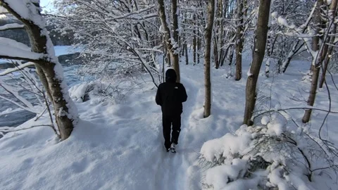 Winter Walking: Trekking Through Deep Snow in Scottish Forest Vídeos de archivo 325812480