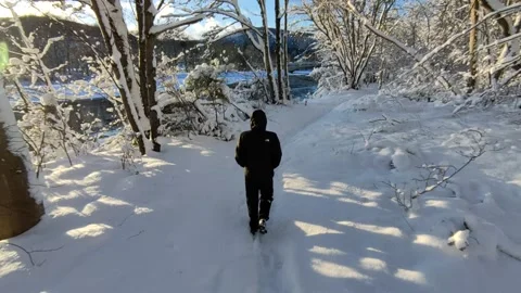 Winter Walking: Trekking Through Deep Snow in Scottish Forest Vídeos de archivo 325812545