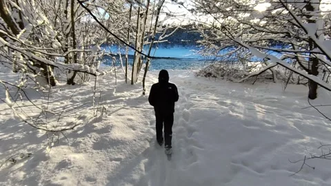 Winter Walking: Trekking Through Deep Snow in Scottish Forest Vídeos de archivo 325812547