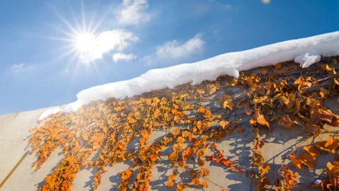 Winter wall in a rays of sun Stock Footage 154049256