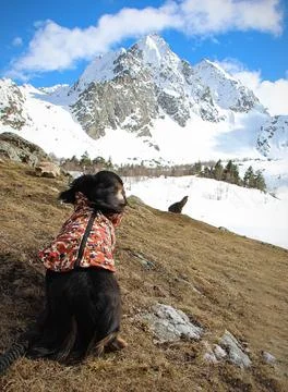 Winter Wanderlust Stock Photos