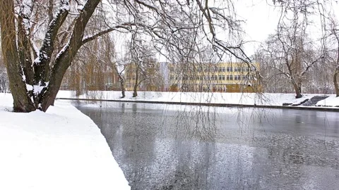 Winter water canal with a tree on the side Stock Footage 123894468