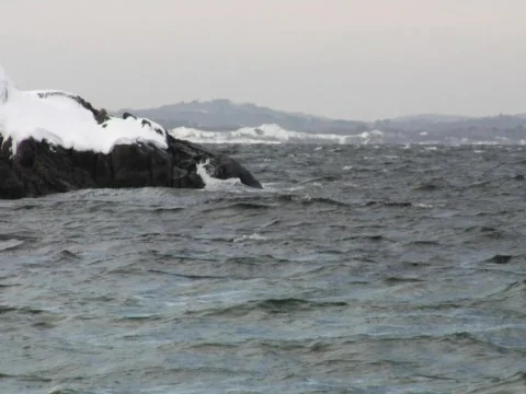 Winter Water Stock Footage 356538