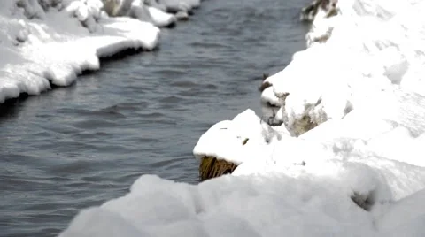 Winter water stream Stock Footage 46471179