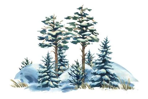 Winter watercolor composition with pine trees in snow, hand-painted illustration Stock Illustration