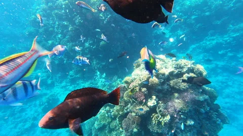 Winter waterfall in the Carpathians, static plan. Water beats against stones Stock Footage 177075003