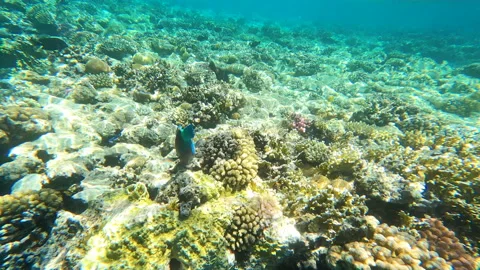 Winter waterfall in the Carpathians, static plan. Water beats against stones Stock Footage 177358461