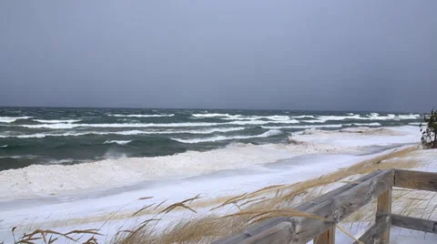 Winter waves and beach grass Stock Footage 37231589