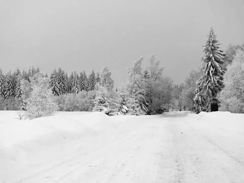 Winter way Stock Photos