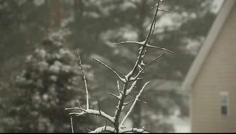Winter weather Stock Footage 11123171