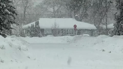 Winter weather, intense snowfall. 스톡 동영상 194581528